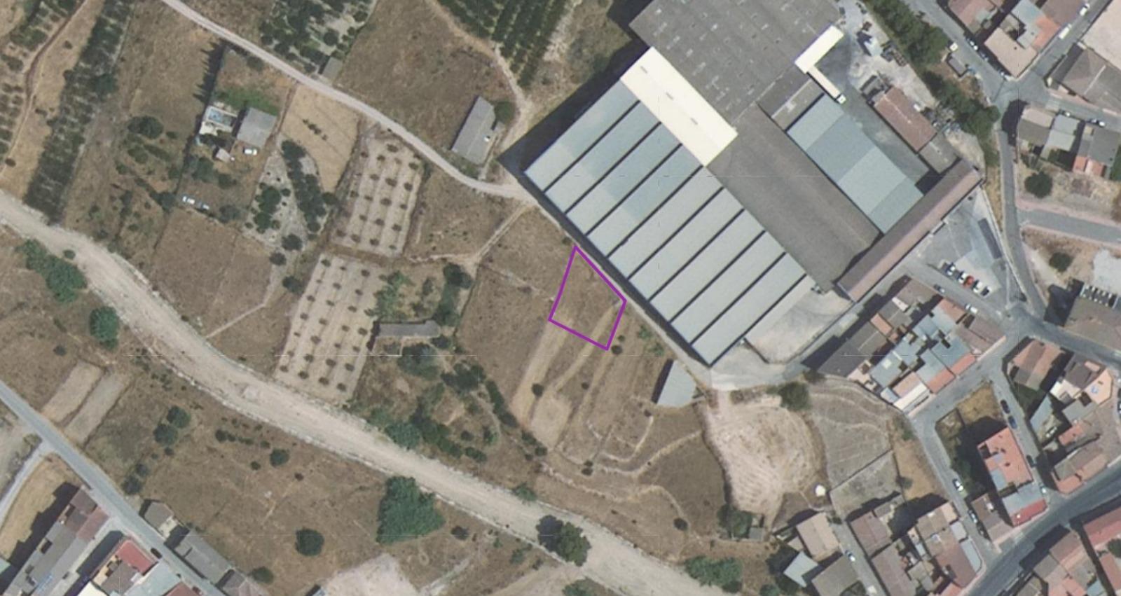 Parcela Regadio ( Pliego )