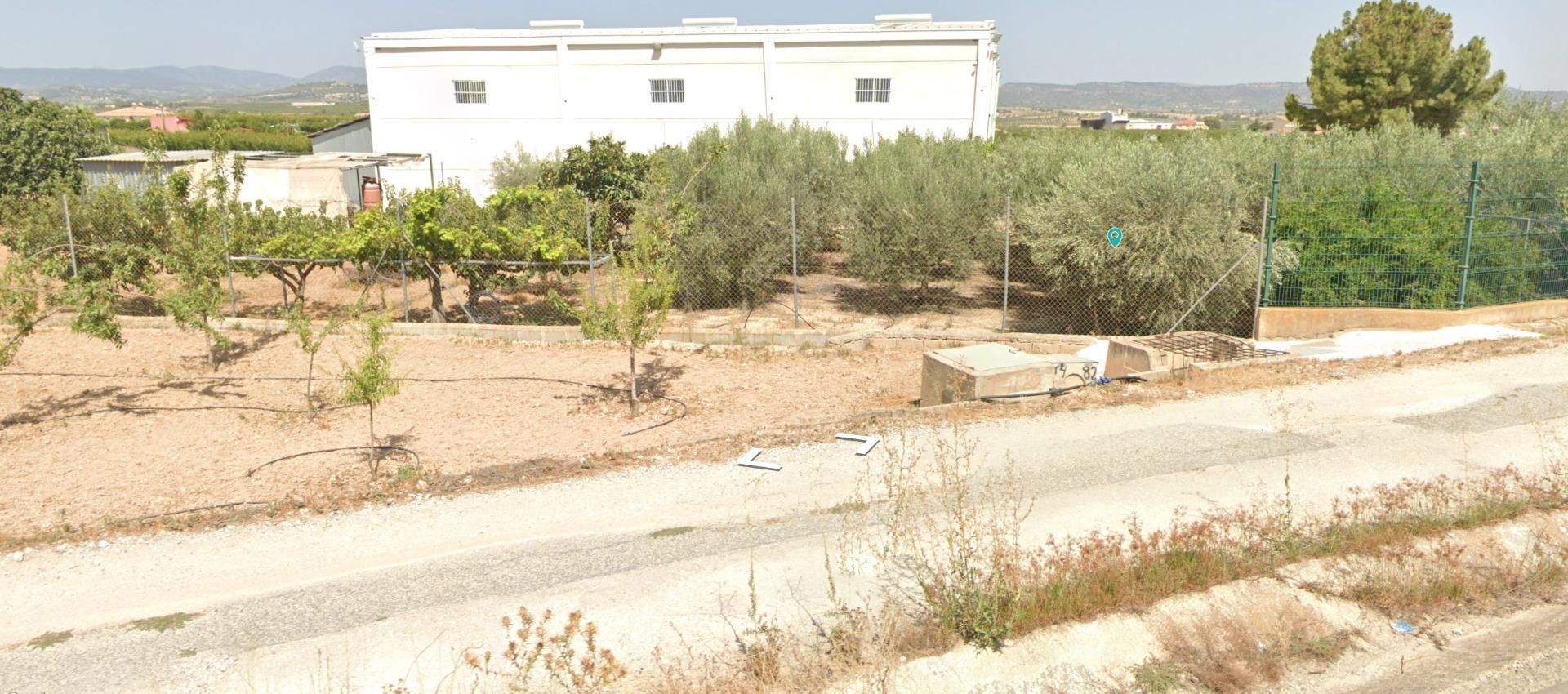 Finca rústica con edificación, olivos y frutales en Las Carreras, Pliego (Murcia)