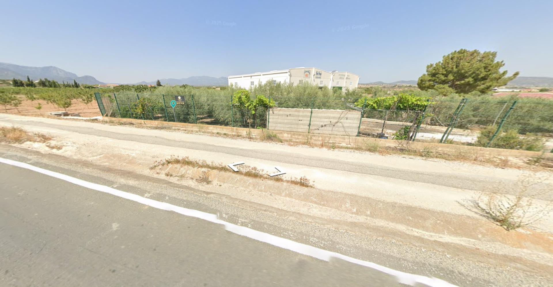 Finca rústica con edificación, olivos y frutales en Las Carreras, Pliego (Murcia)