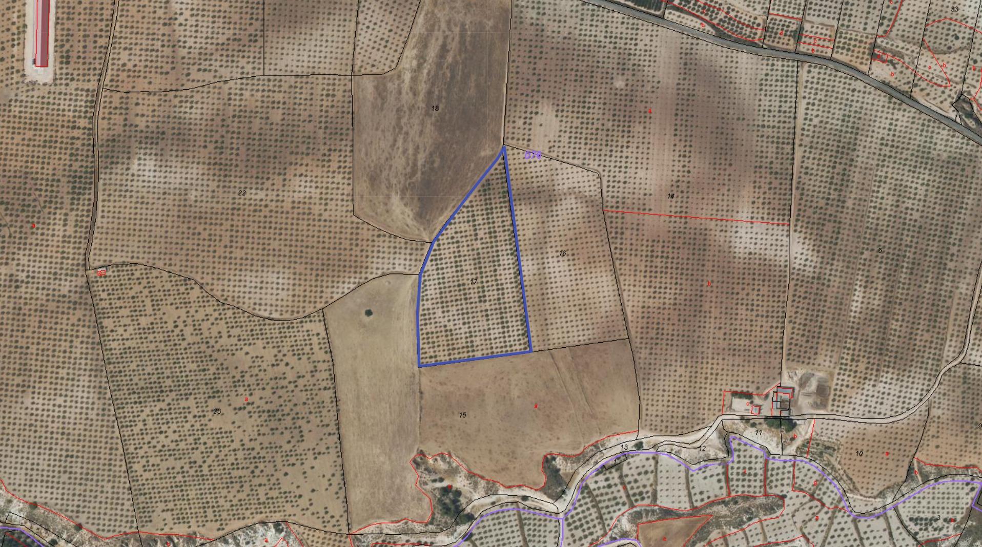 Terreno rural en (Mula)