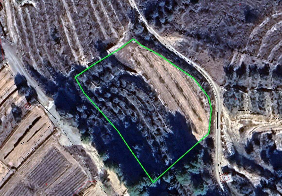 Finca de regadío con frutales en la zona del Colector – Pliego (Murcia)