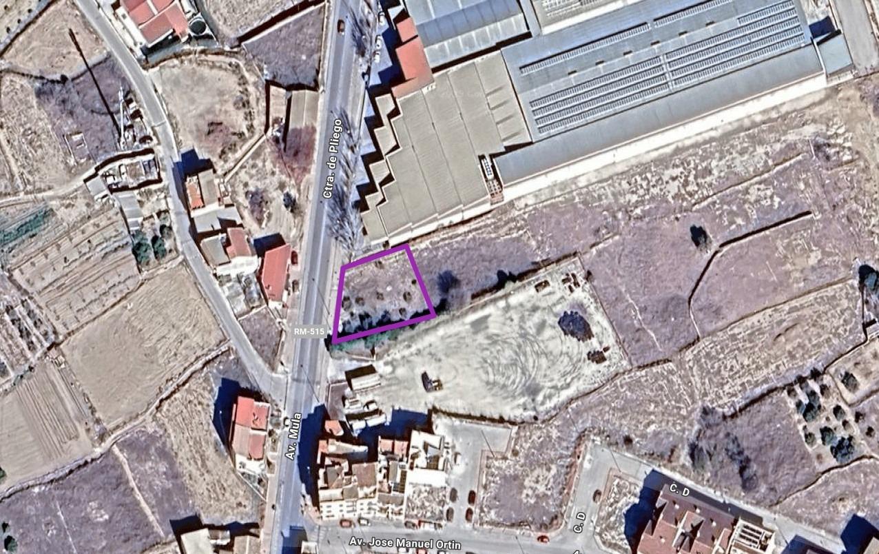 Finca de regadío con frutales en La Mota, Pliego