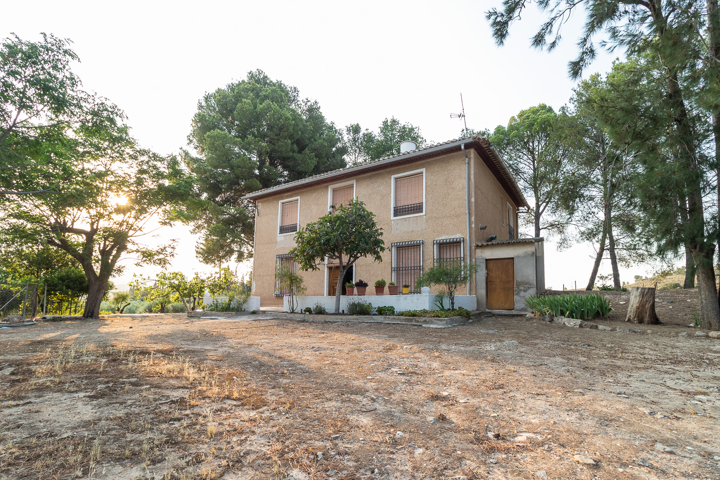 Casa de Campo en Cehegín con Parcela de 5.000 m² y Almacén Convertible