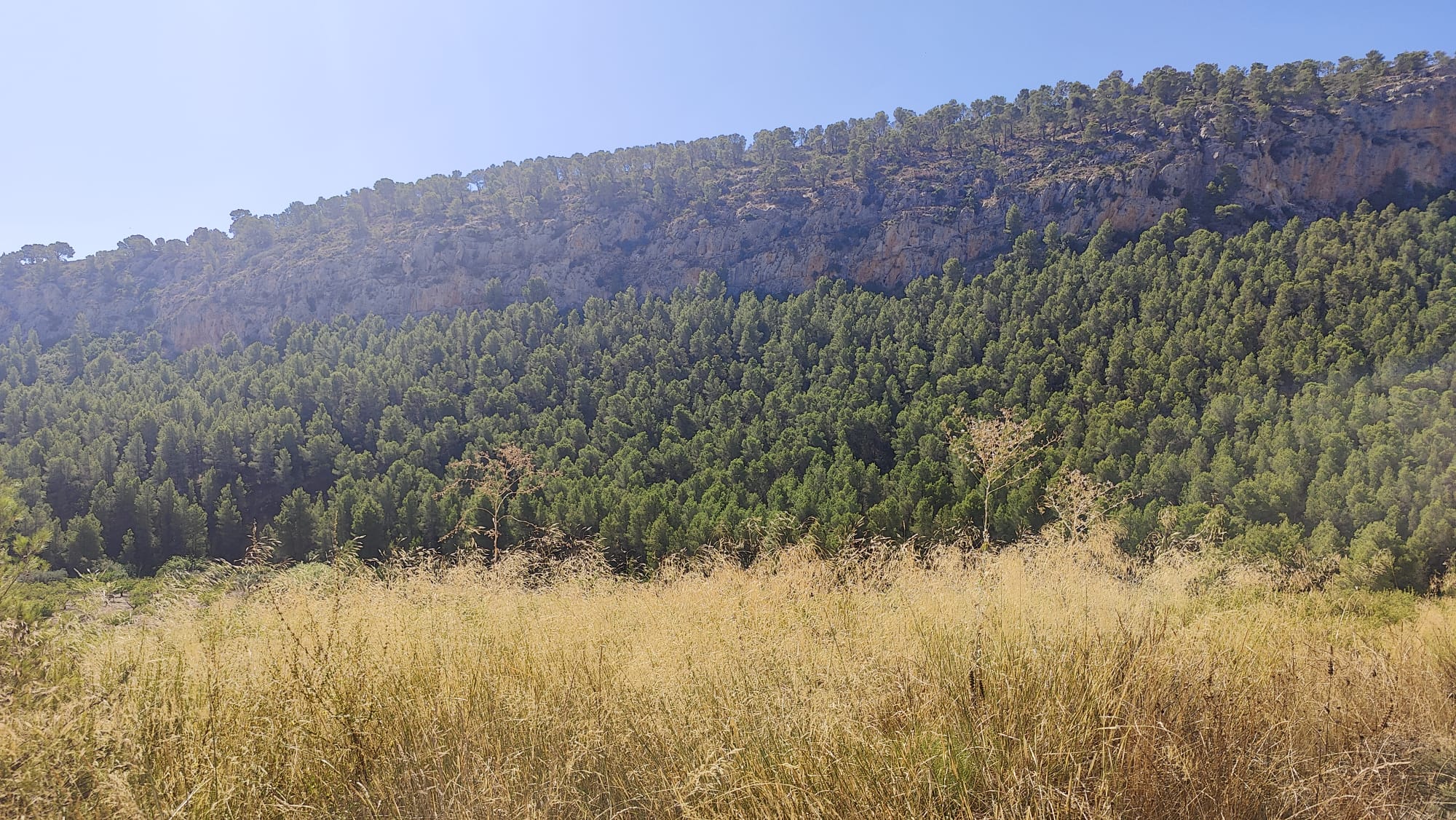 Finca Rústica de 62 Ha con Casa de 300 m², Corrales y Pozo en Sierra Espuña (Mula)
