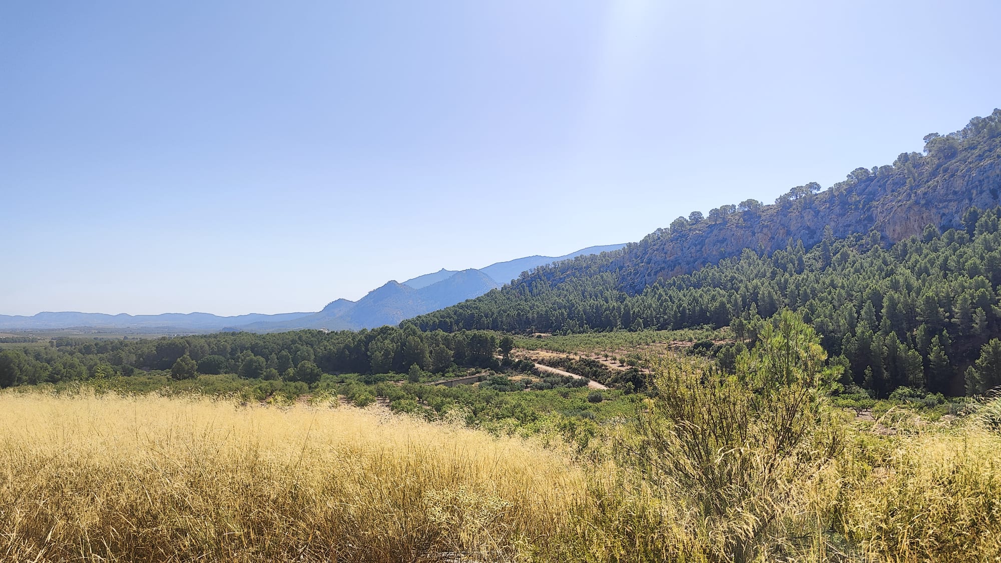 Finca Rústica de 62 Ha con Casa de 300 m², Corrales y Pozo en Sierra Espuña (Mula)