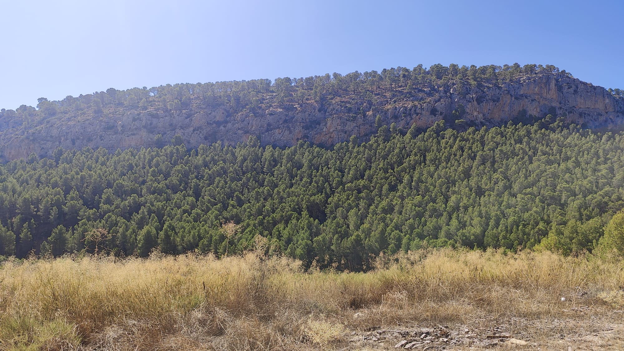 Finca Rústica de 62 Ha con Casa de 300 m², Corrales y Pozo en Sierra Espuña (Mula)