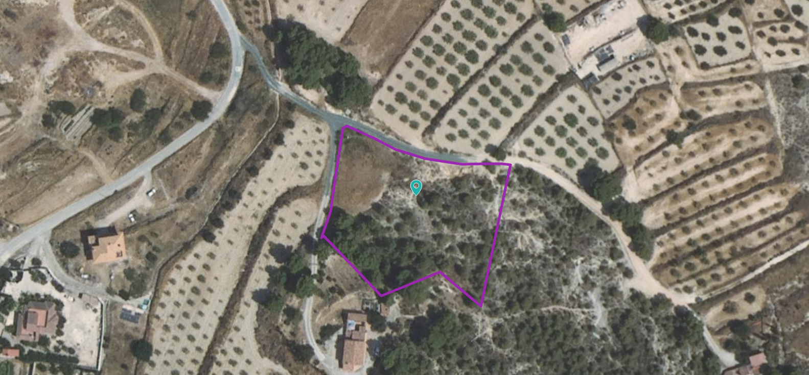 Parcela Rústica de 5.000 m² en Las Atalayas, Pliego (Murcia)