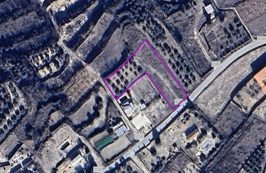 Parcela Rústica de 1.584 m² en Pliego (Murcia) – Con Olivar y Tierra de Labor