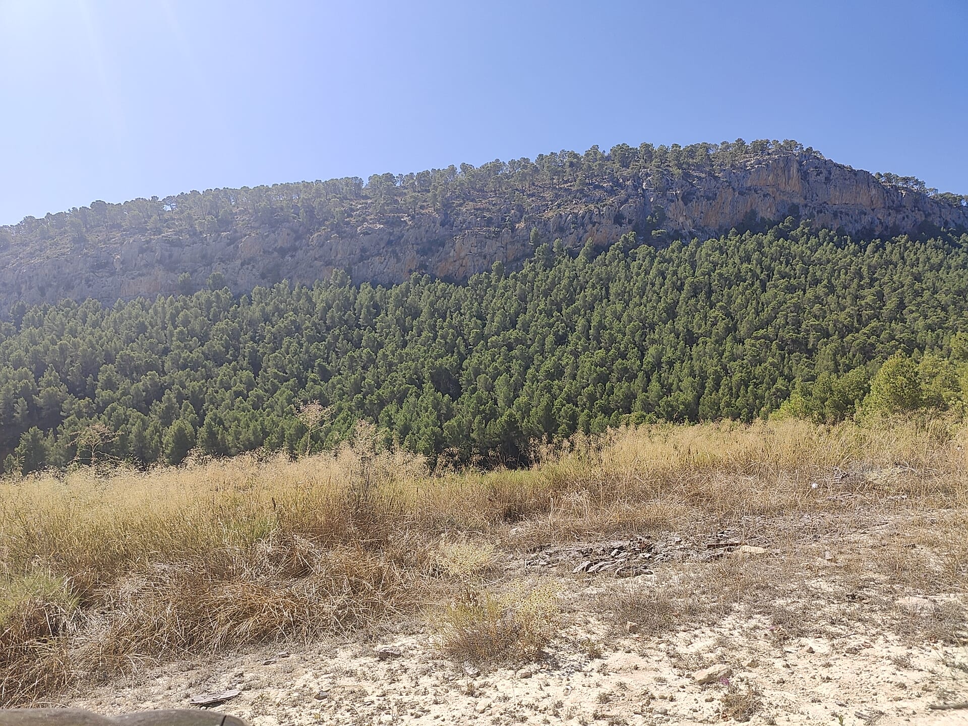 Finca Rústica de 62 Ha con Casa de 300 m², Corrales y Pozo en Sierra Espuña (Mula)