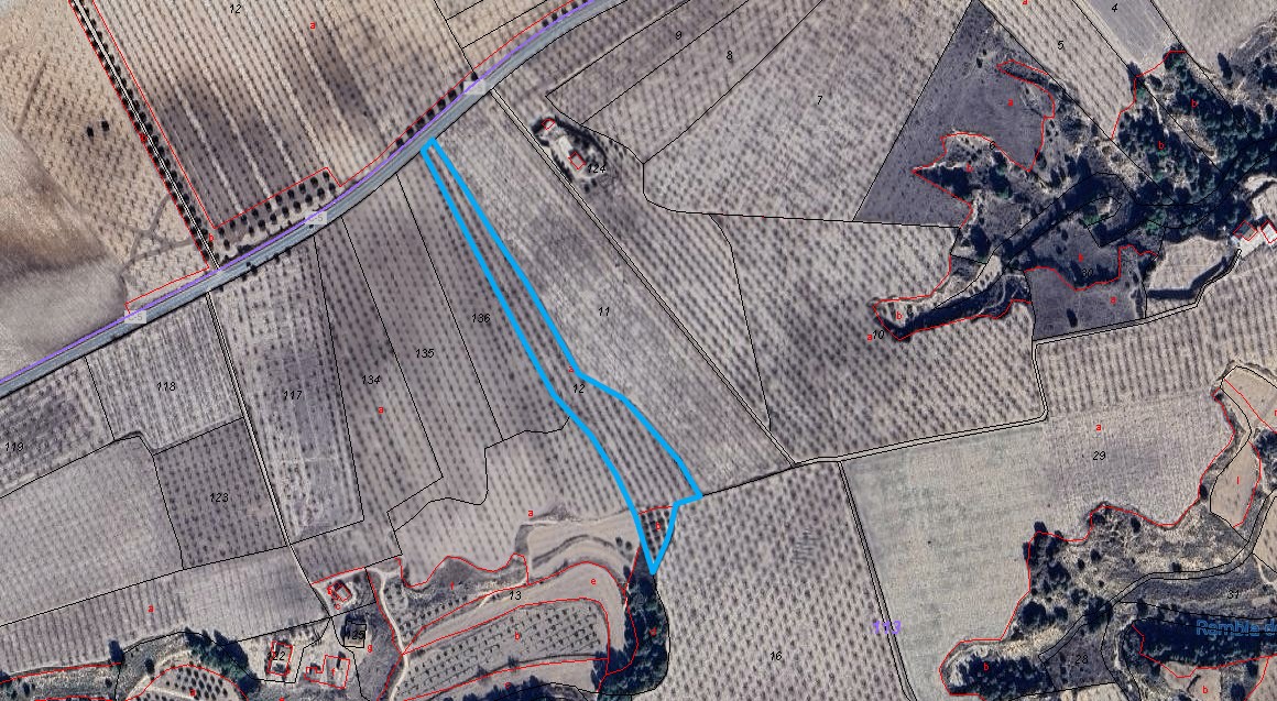 Parcela Rústica de 12.000 m² con Almendros y Olivos en Pliego (Murcia)