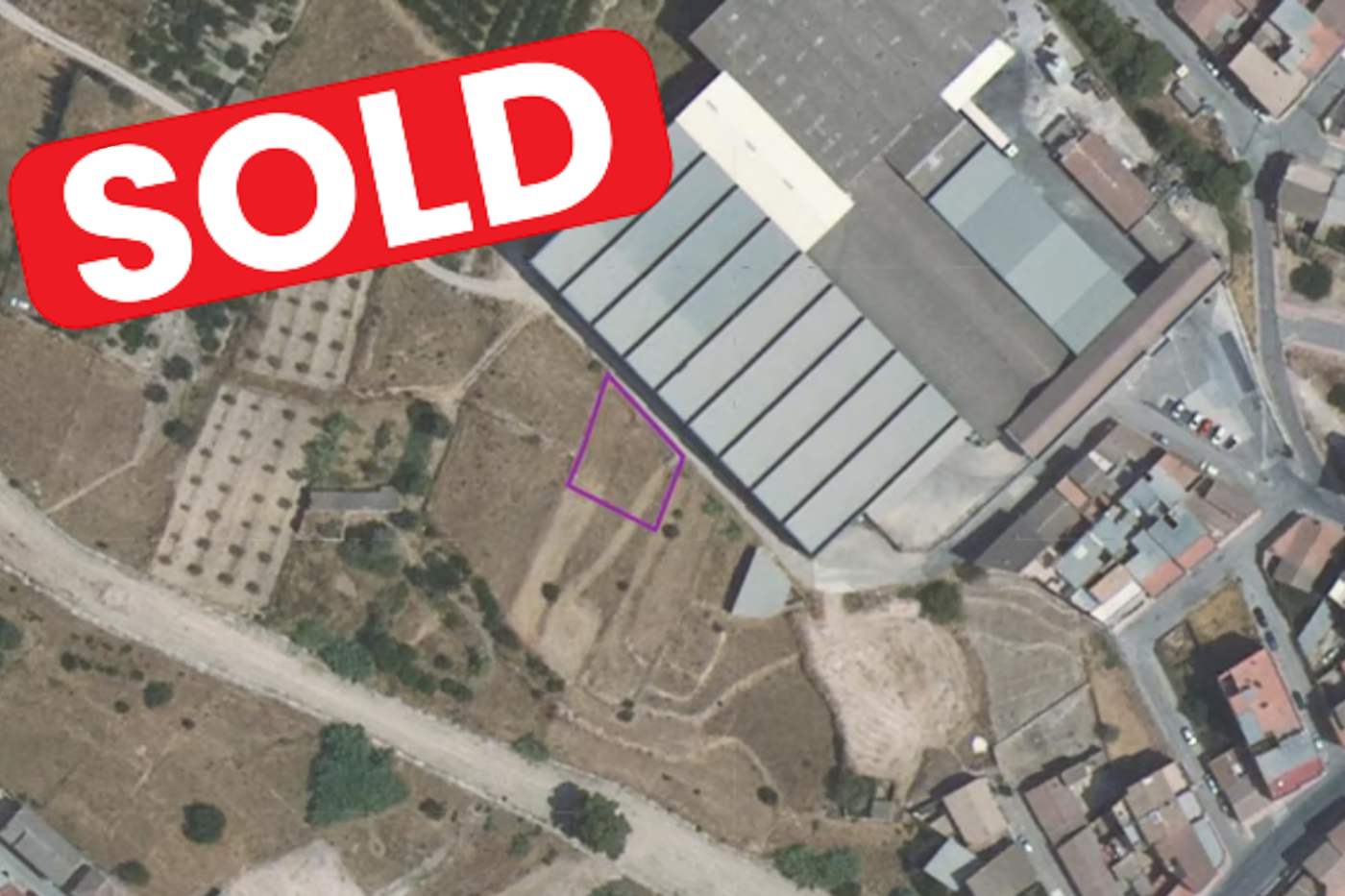 Parcela Regadio ( Pliego )