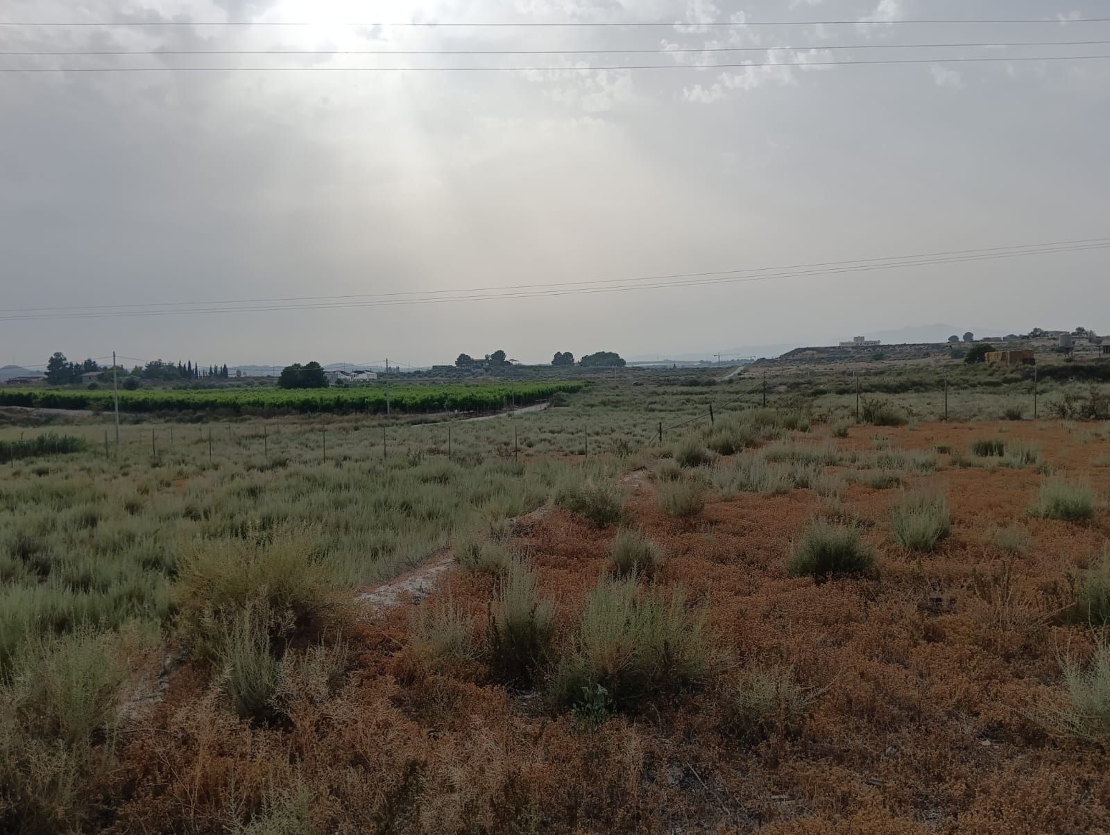 Finca de Regadío con Naves y Vivienda en Las Torres de Cotillas – 55.000 m² de Oportunidad