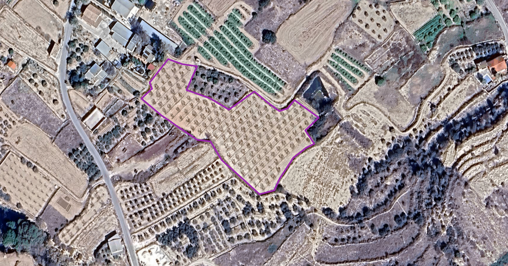 Finca de 6.300 m² con Almendros en Producción en El Rincón (Pliego)
