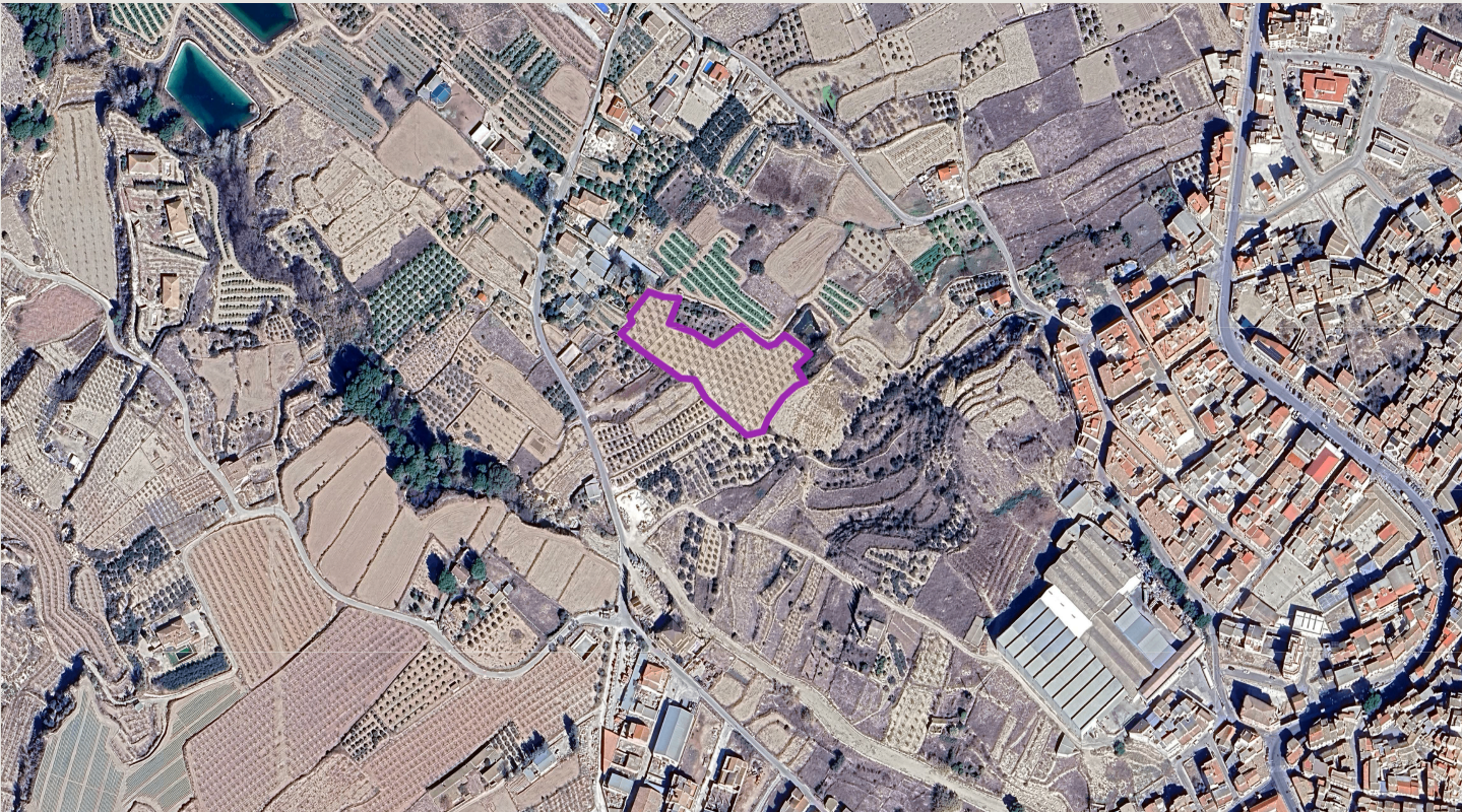 Finca de 6.300 m² con Almendros en Producción en El Rincón (Pliego)