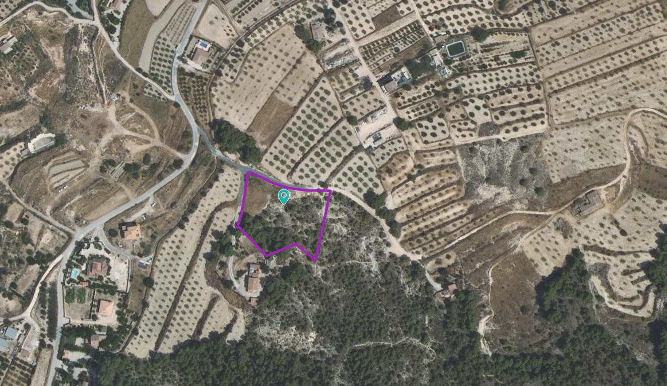 Parcela Rústica de 5.000 m² en Las Atalayas, Pliego (Murcia)