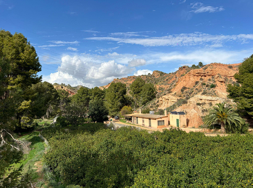 Finca ecológica de limoneros con embalse y vivienda auxiliar en Librilla, Murcia