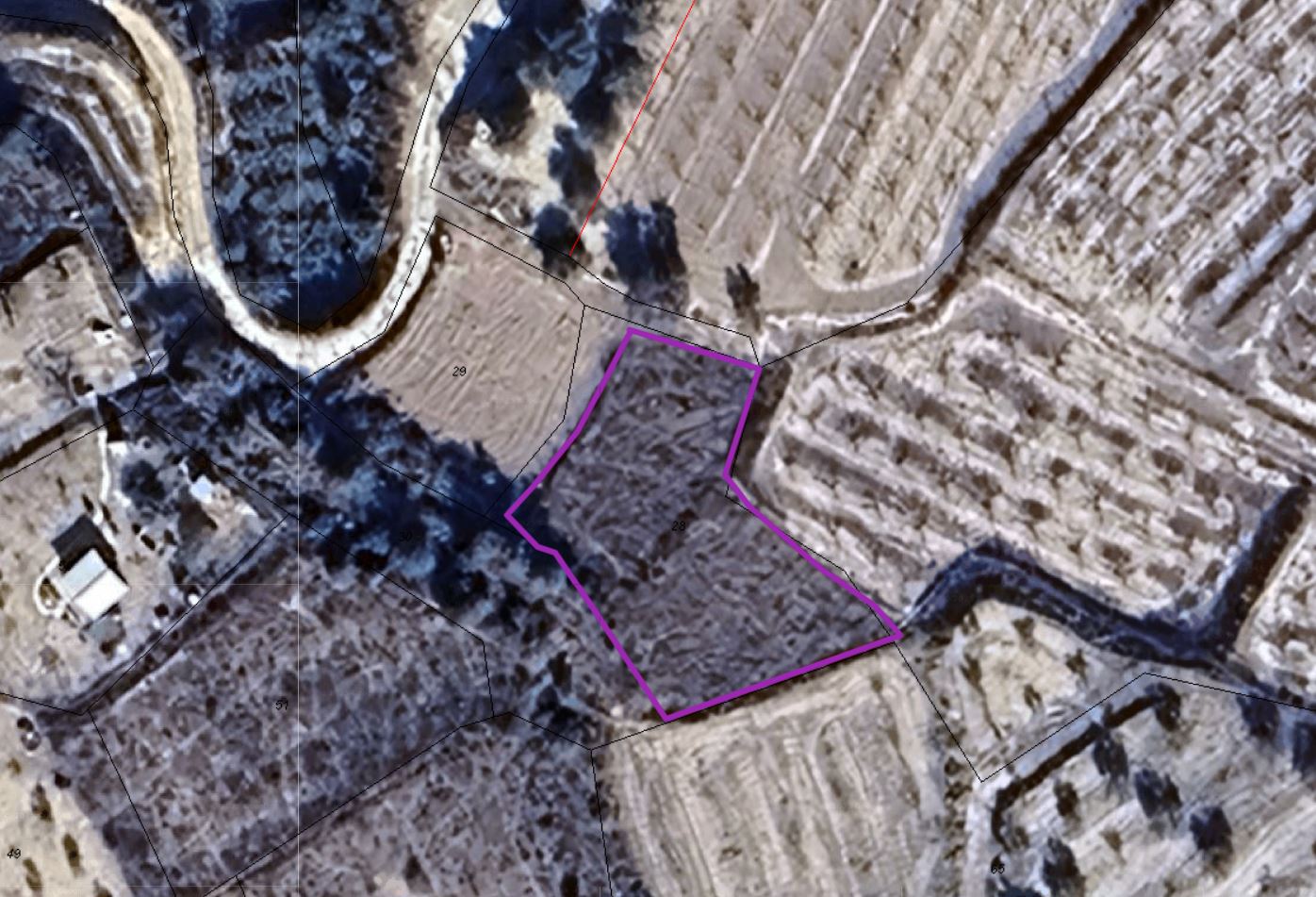 Parcela Rústica de 812 m² en Pedregales, Pliego (Murcia)