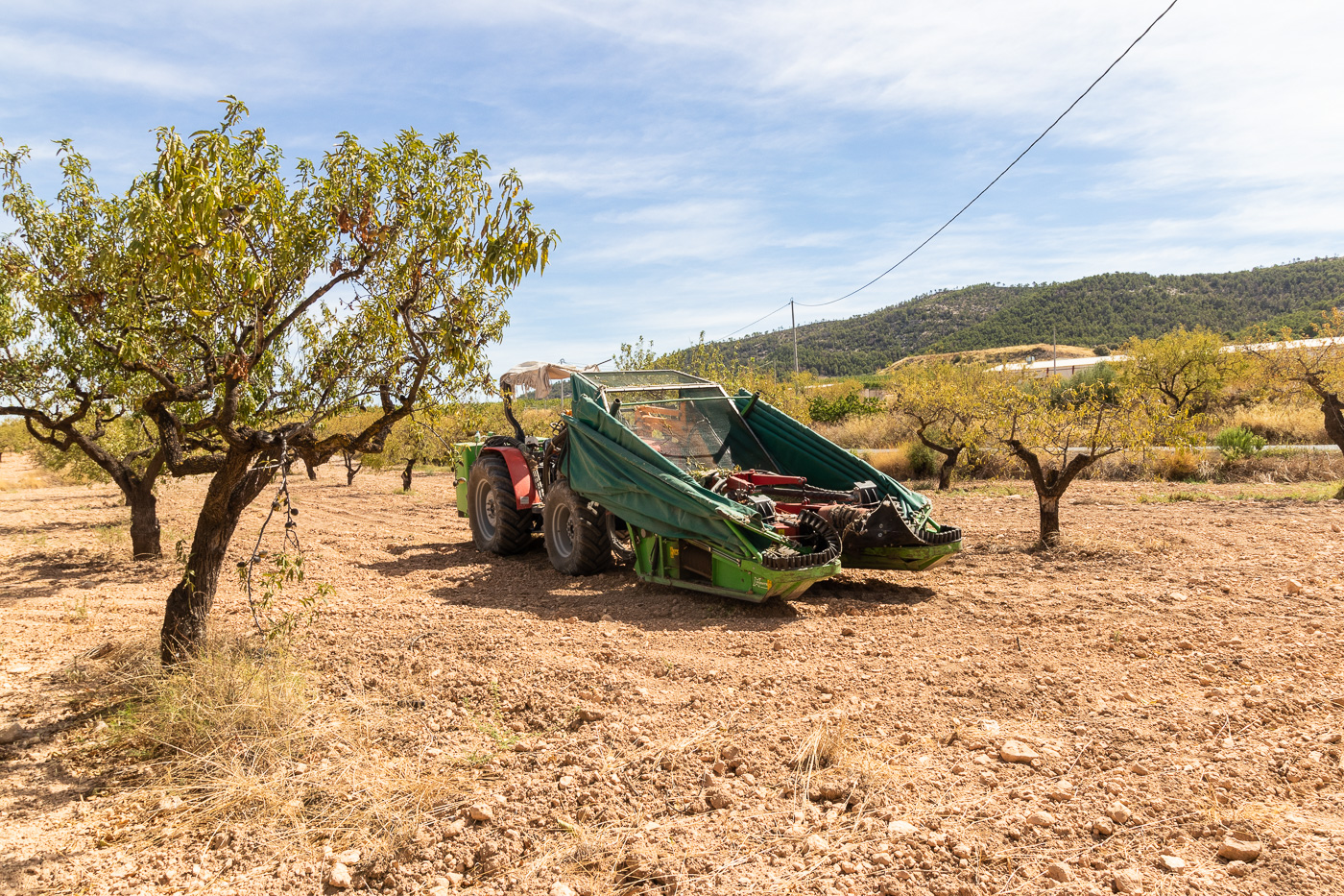 Chalet rústico con piscina y almendros en La Copa (Bullas, Murcia)