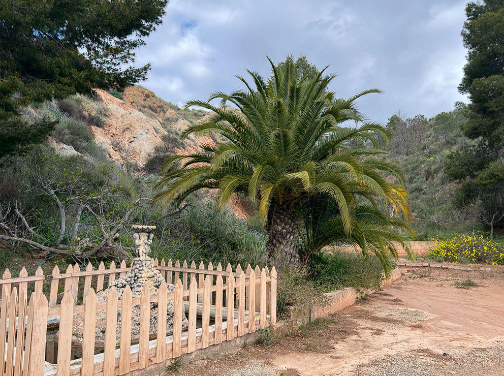 Finca ecológica de limoneros con embalse y vivienda auxiliar en Librilla, Murcia