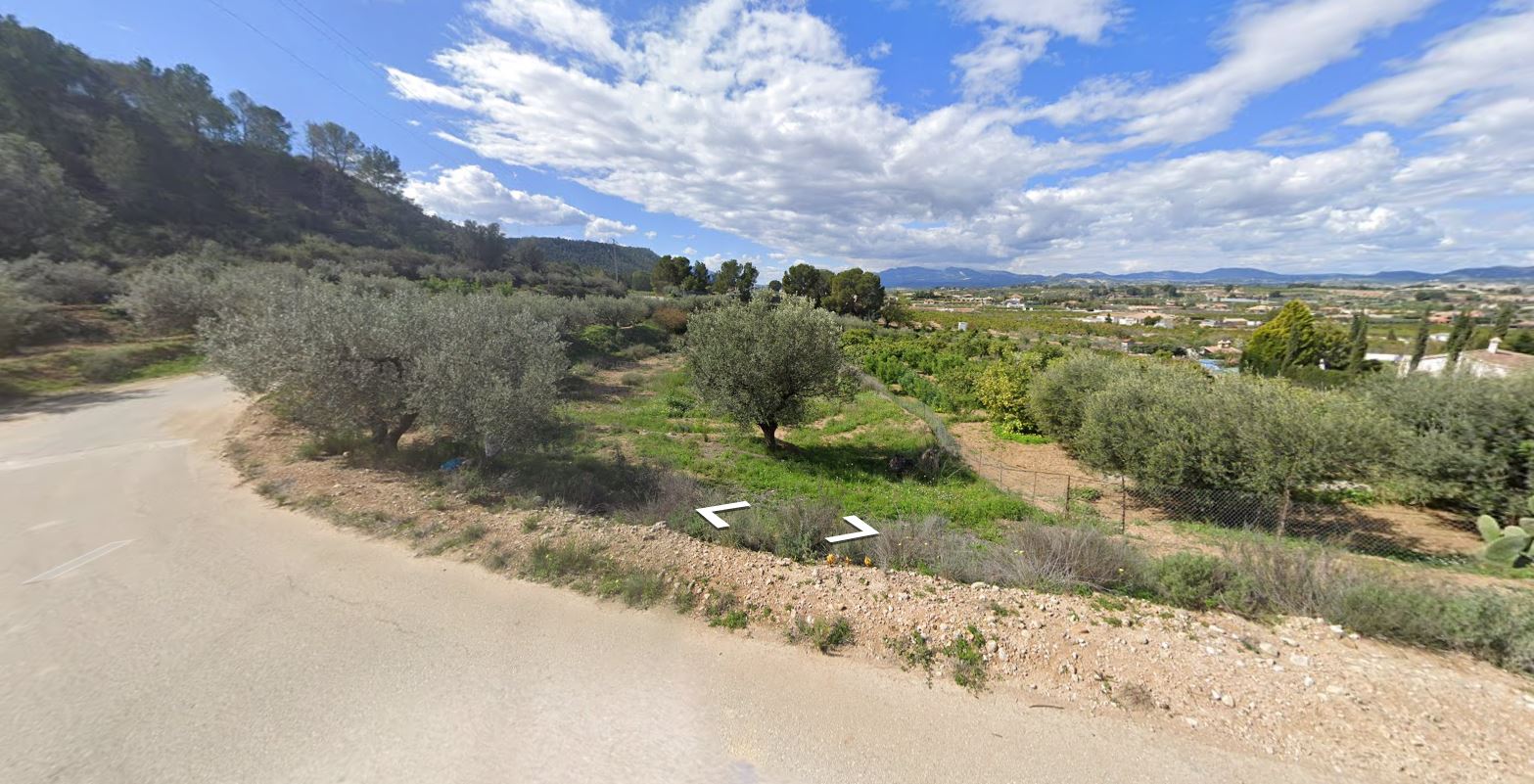 Finca de regadío en venta en Mula, zona Manzanete