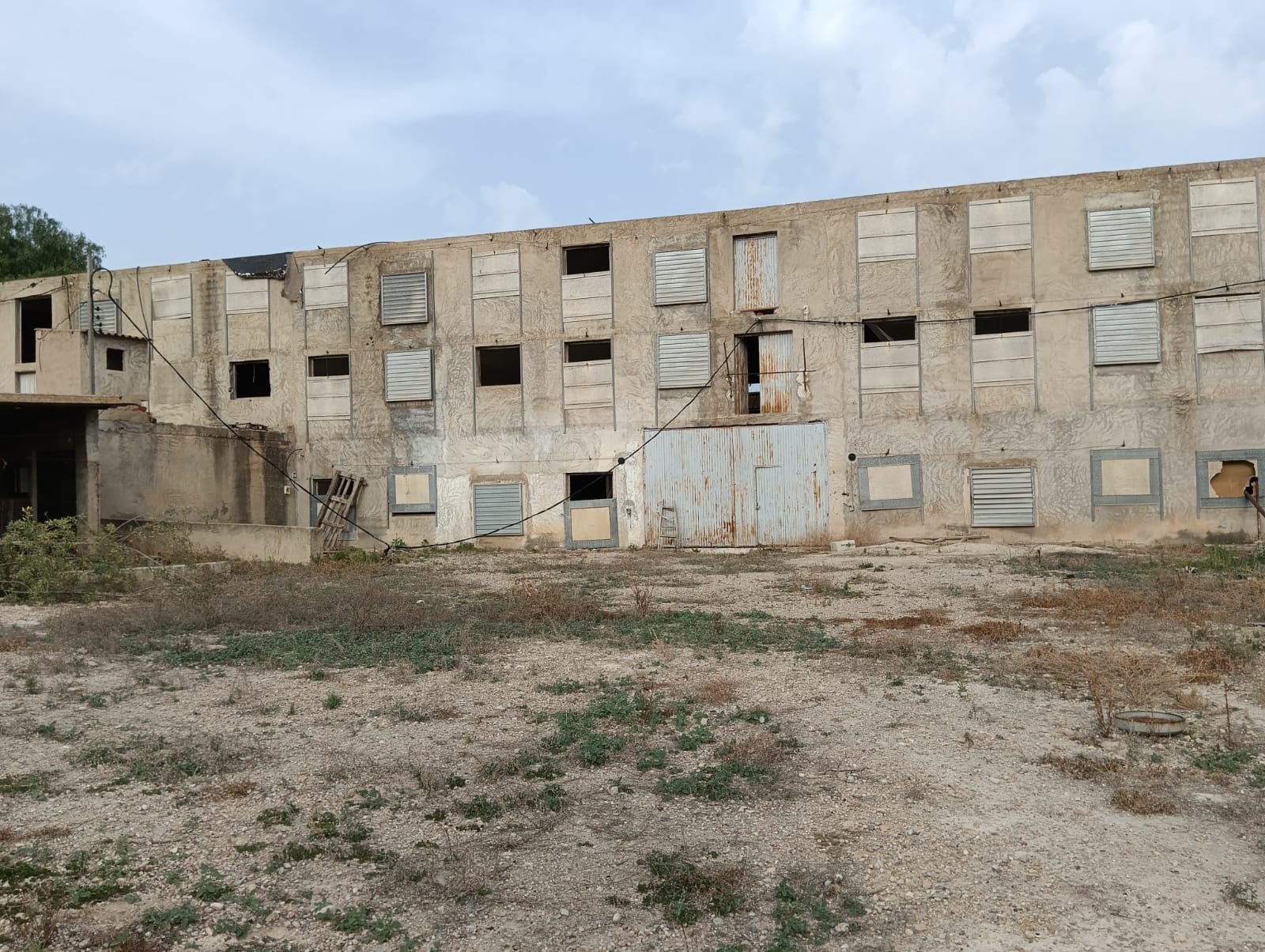 Finca de Regadío con Naves y Vivienda en Las Torres de Cotillas – 55.000 m² de Oportunidad