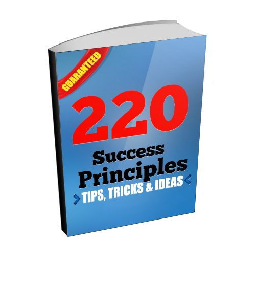 220 Principles That the Successful Use to Become Wildly Successful and How You Can Too