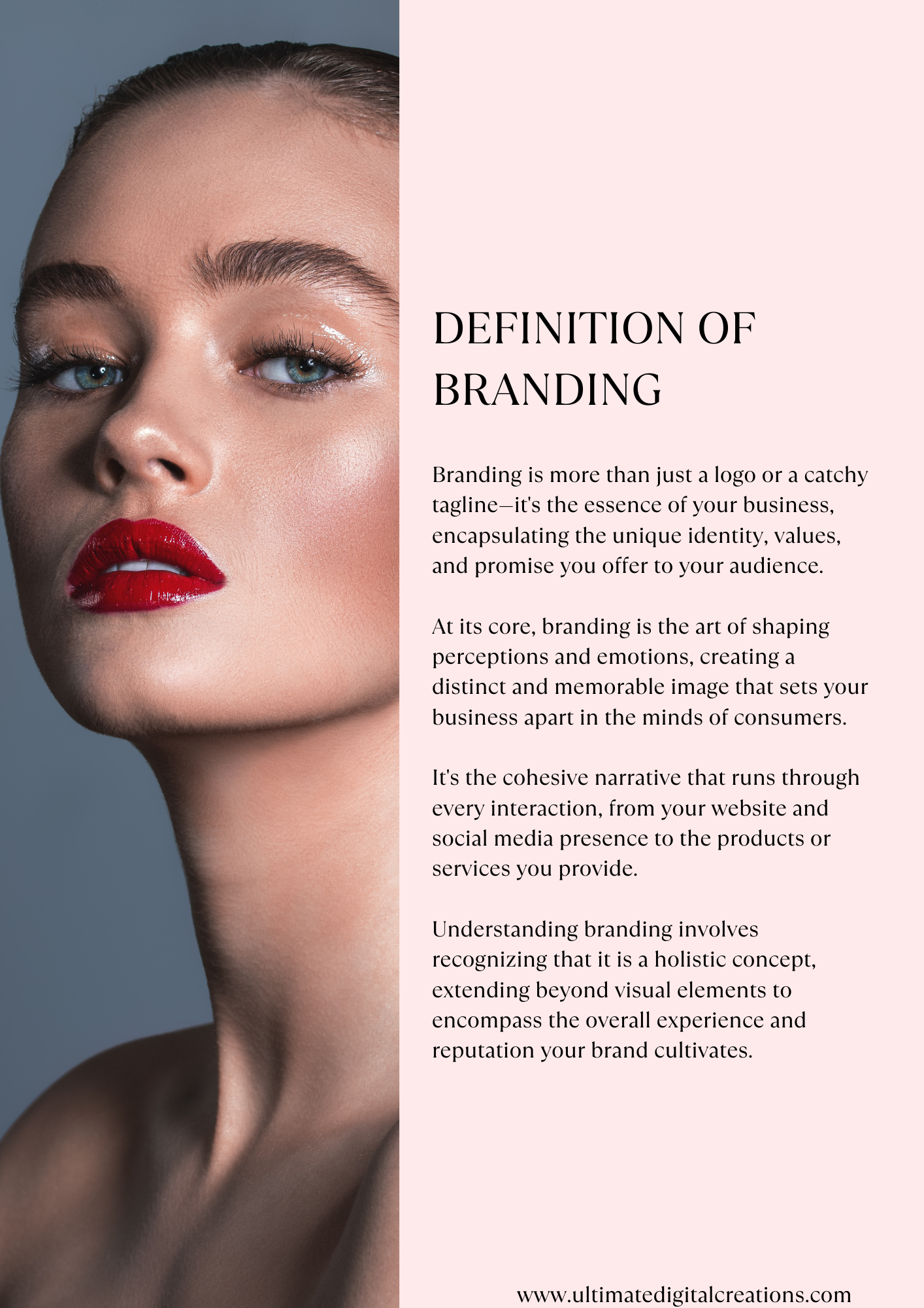 The Build Your Brand e-book bundle 