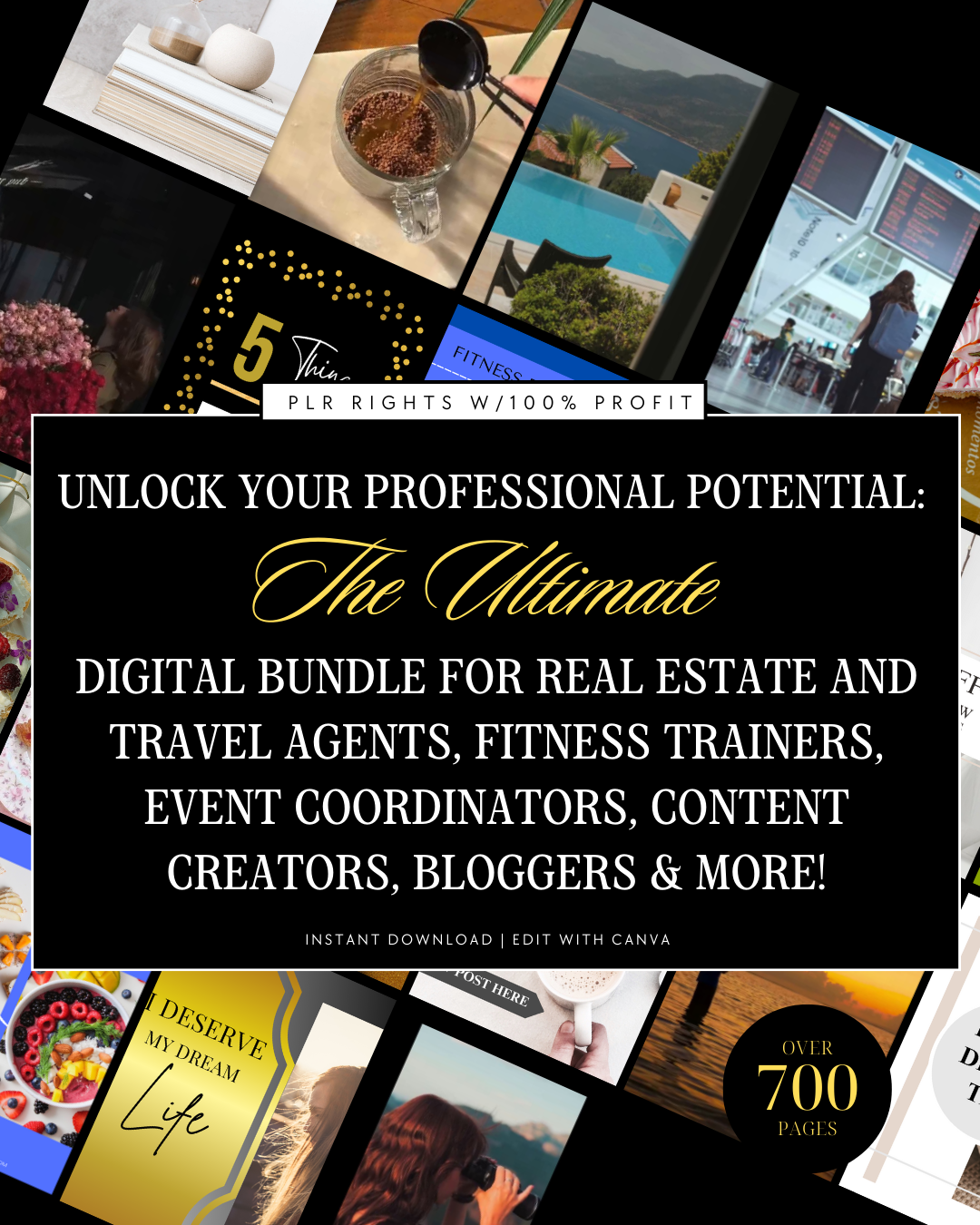 Ultimate Professional Digital Bundle