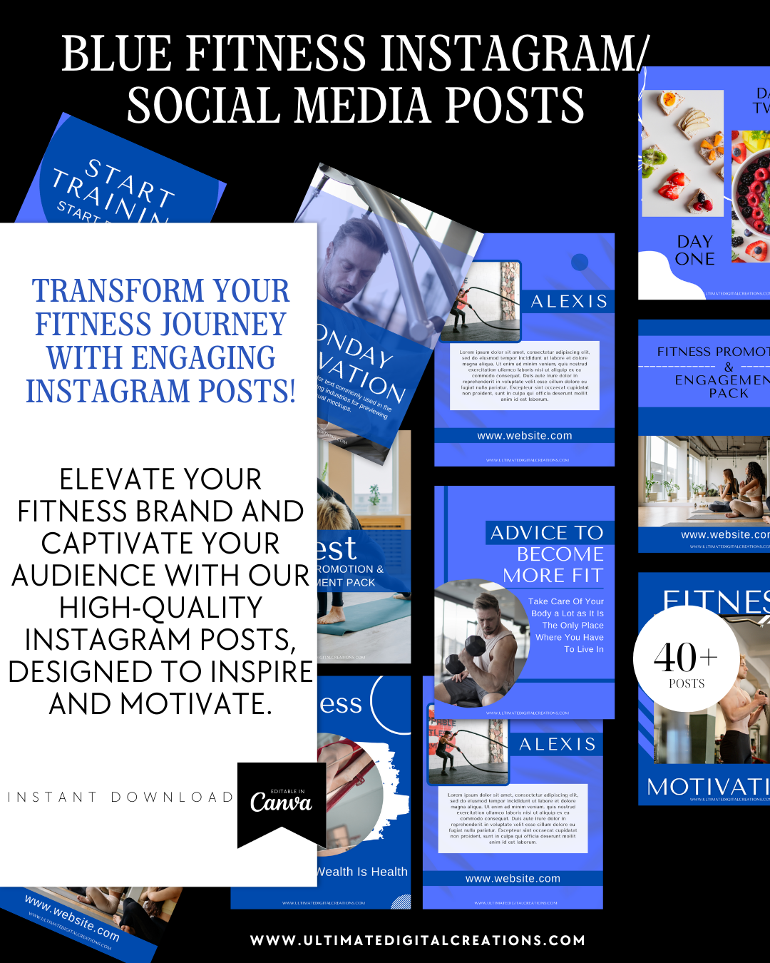 Ultimate Professional Digital Bundle
