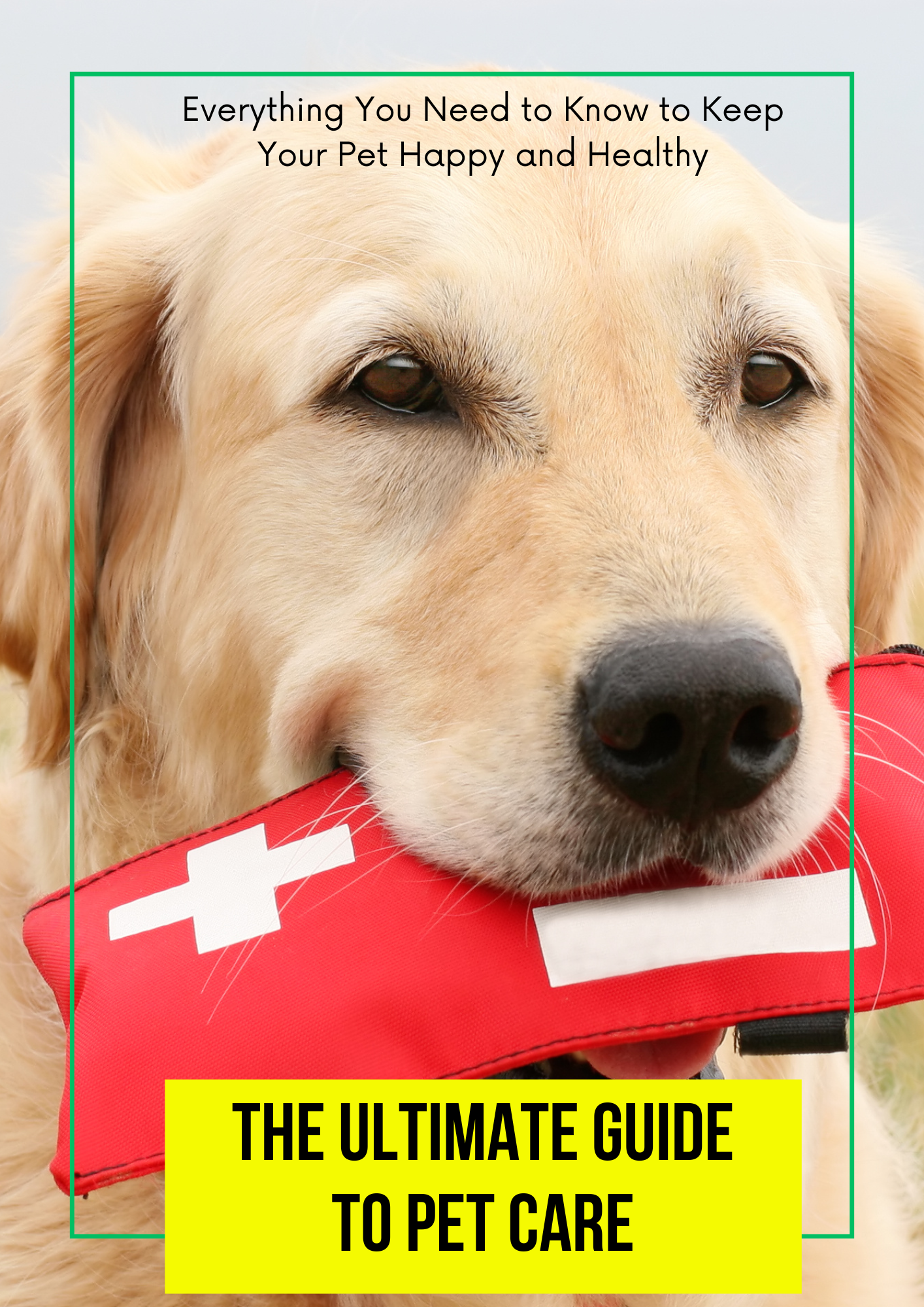 Ultimate Digital Pet Care Bundle