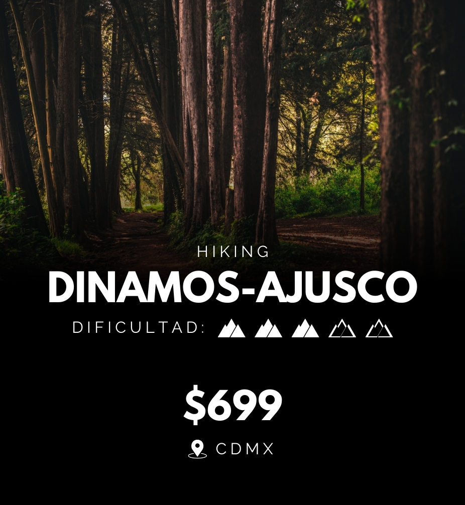 Dinamos-desierto (Pago completo)