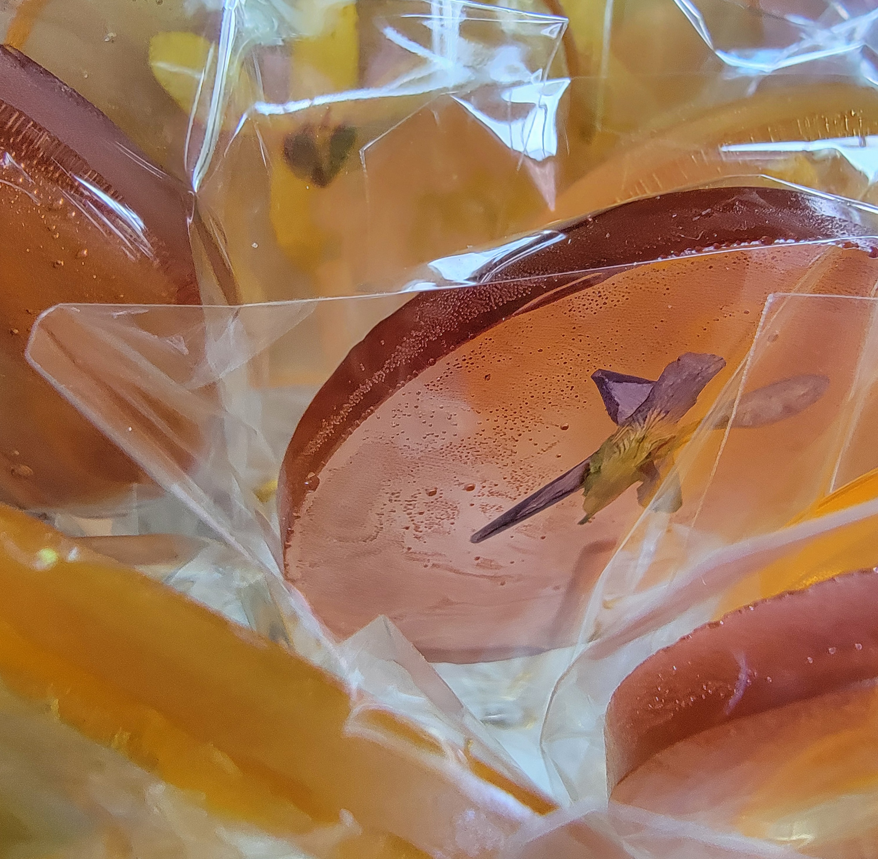 fleur lollis & lolli bouquets