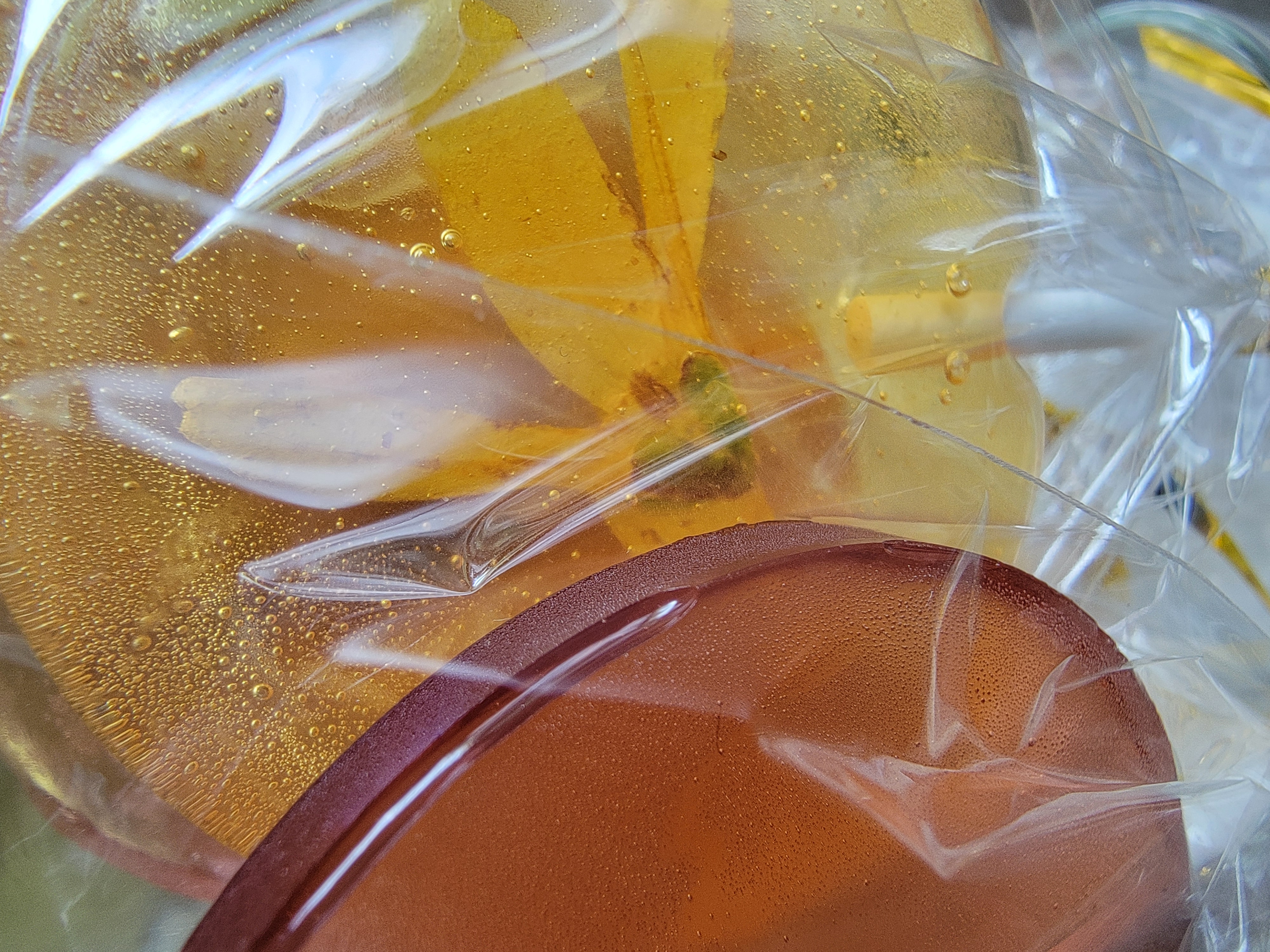 fleur lollis & lolli bouquets