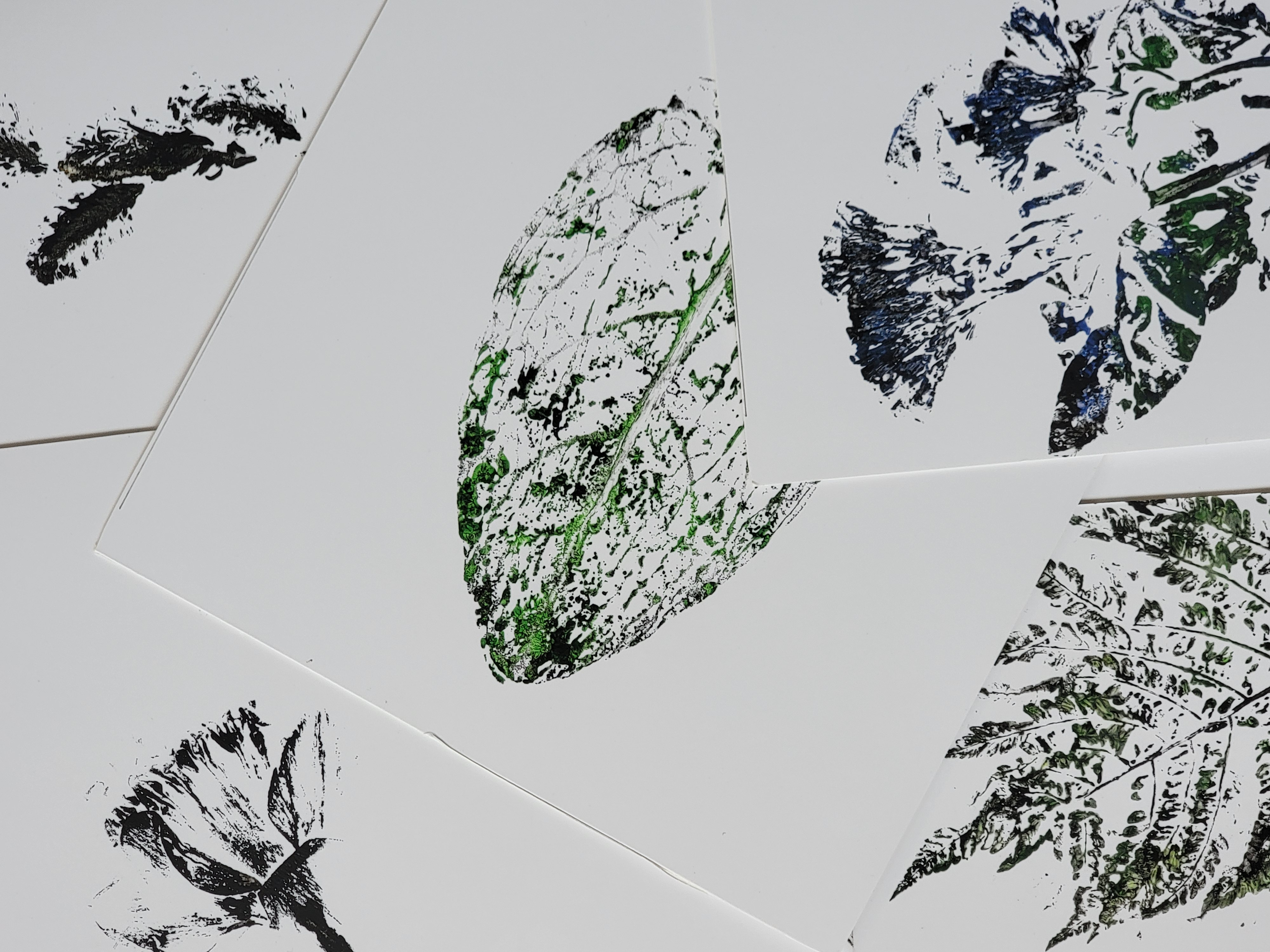 flower printing prints (4x6, 5x7, 8x10)