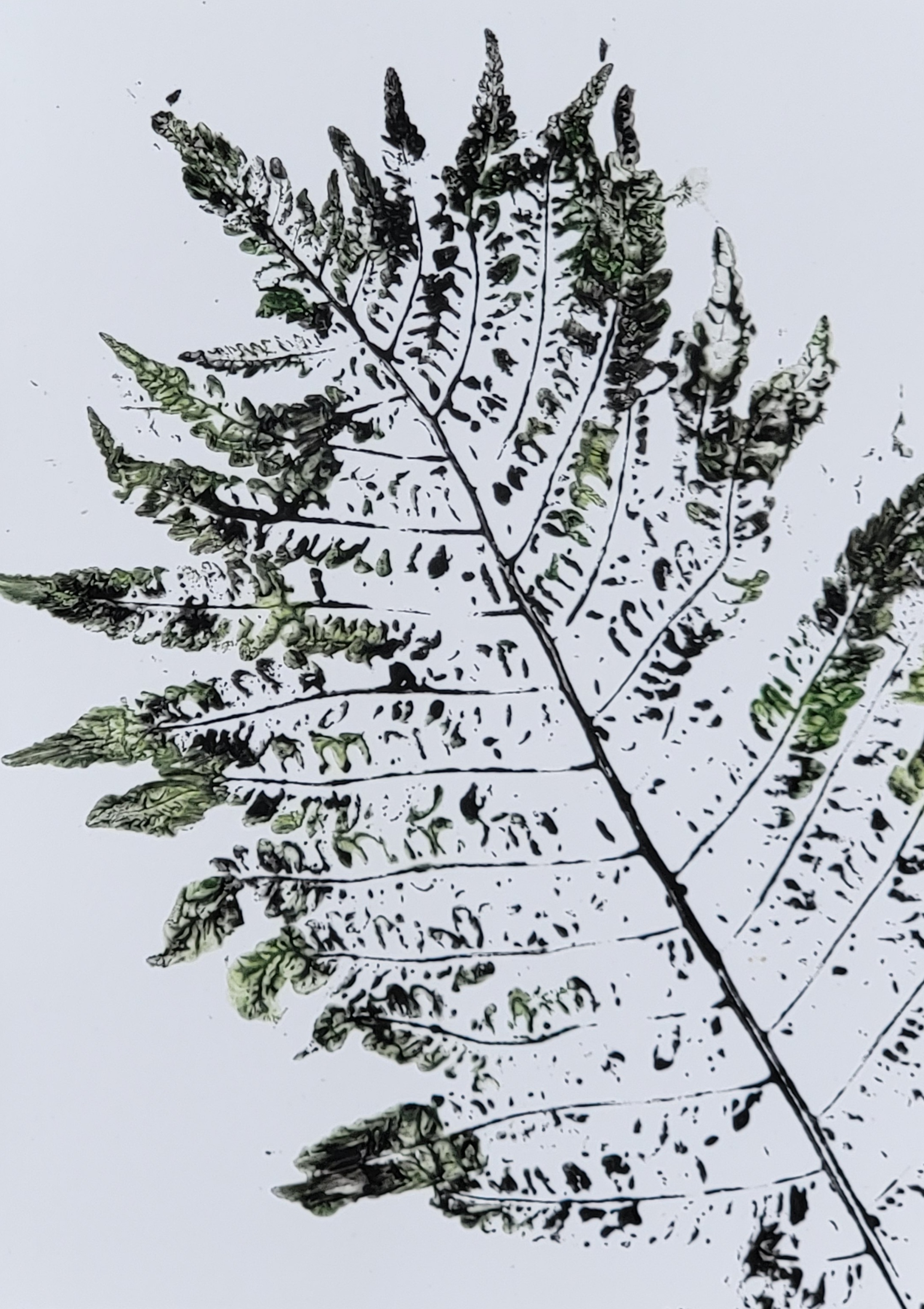 flower printing prints (4x6, 5x7, 8x10)