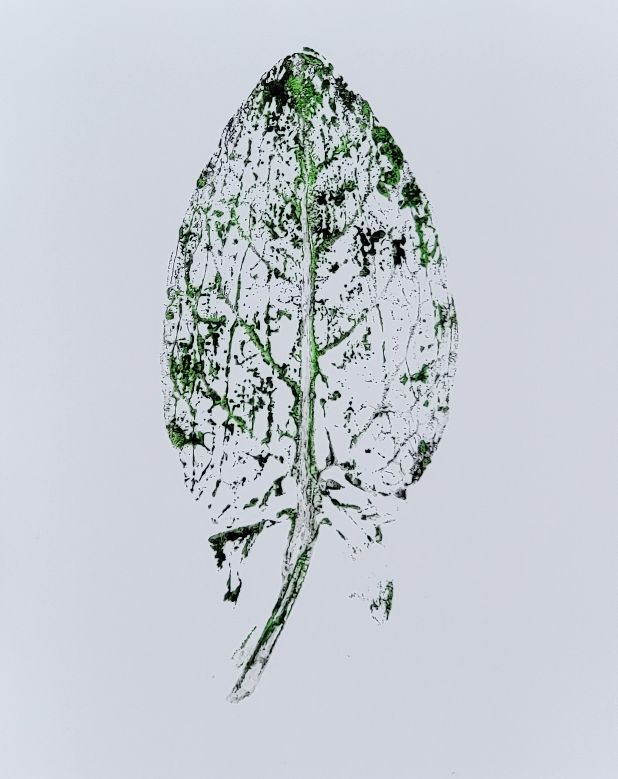 flower printing prints (4x6, 5x7, 8x10)