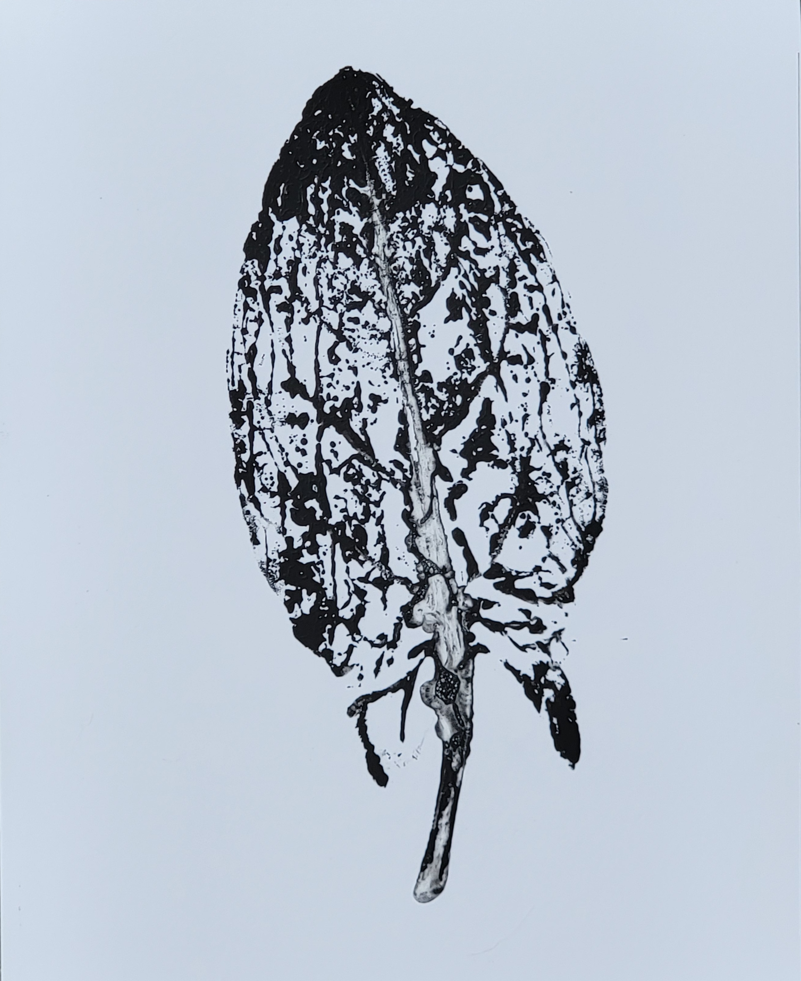 flower printing prints (4x6, 5x7, 8x10)