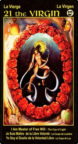 30 Minutes Tarot Psychic Reading