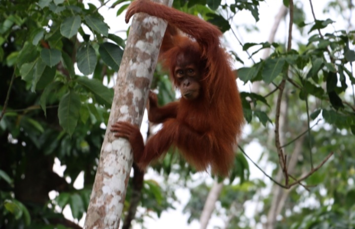 Shorter Trek (3-4 Hours)