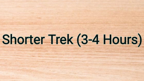 Special 3-4 Hours Jungle Trek 55€ Per Person