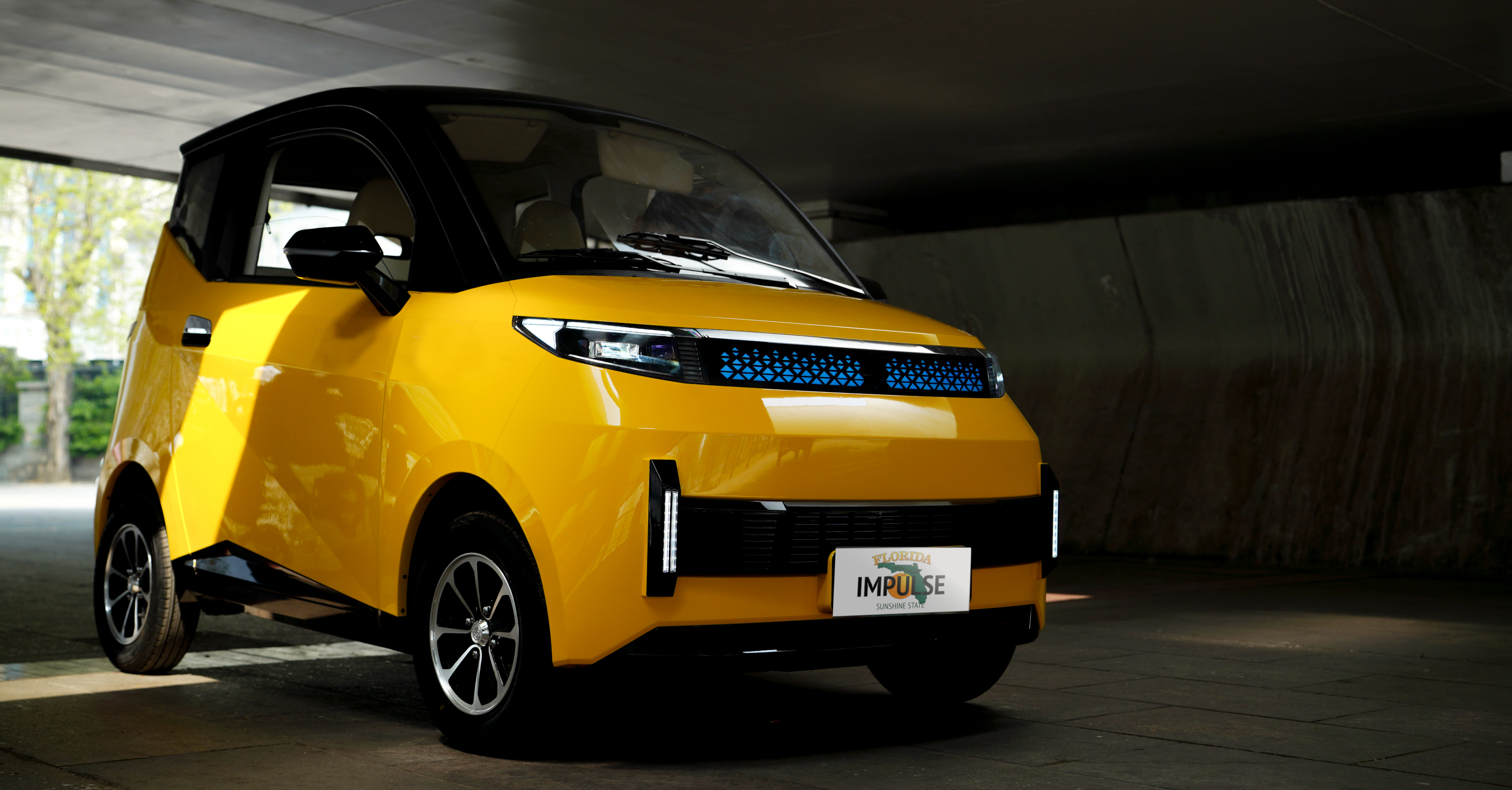 Nano-3 Mini Electric Low Speed Vehicle 