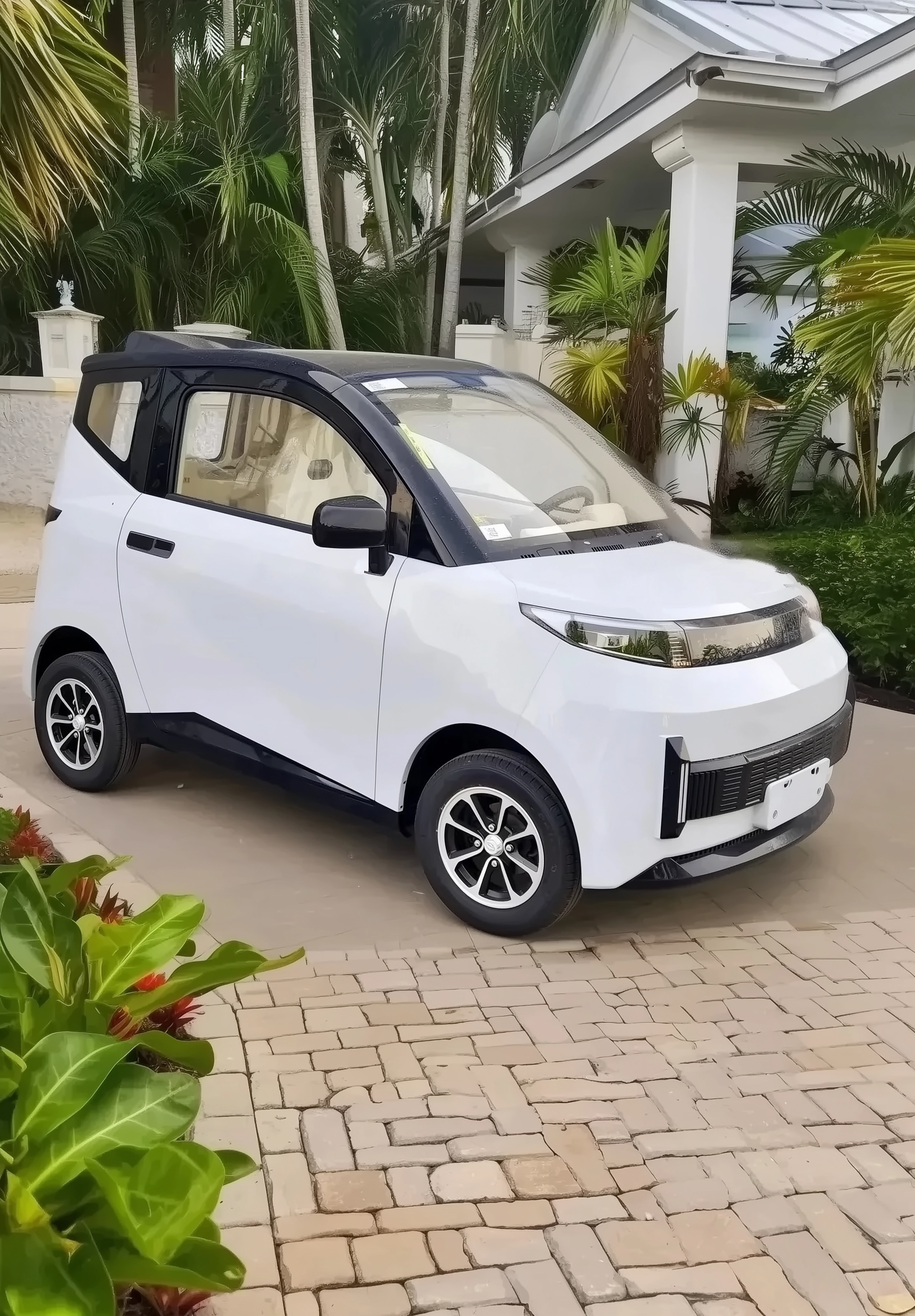 Preorder Nano-3 Micro Urban Low Spee EV