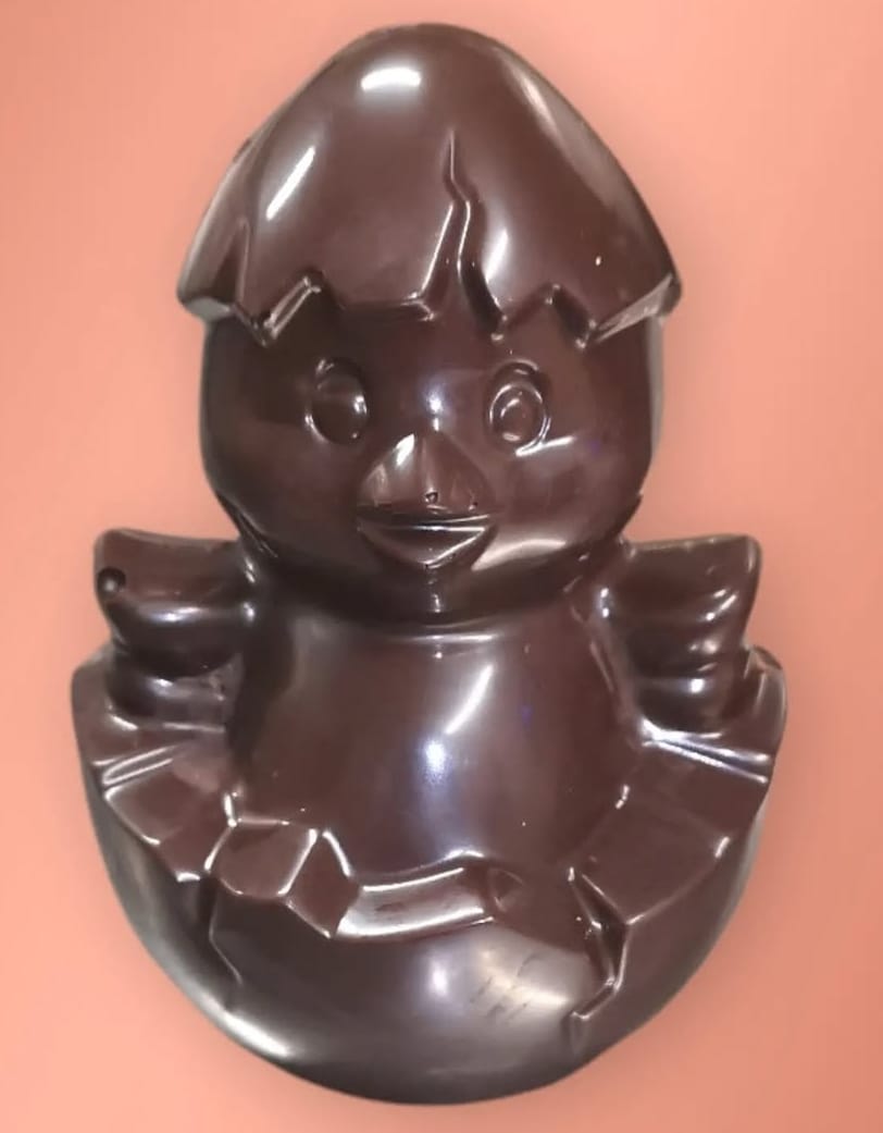 Pulcino di cioccolato 