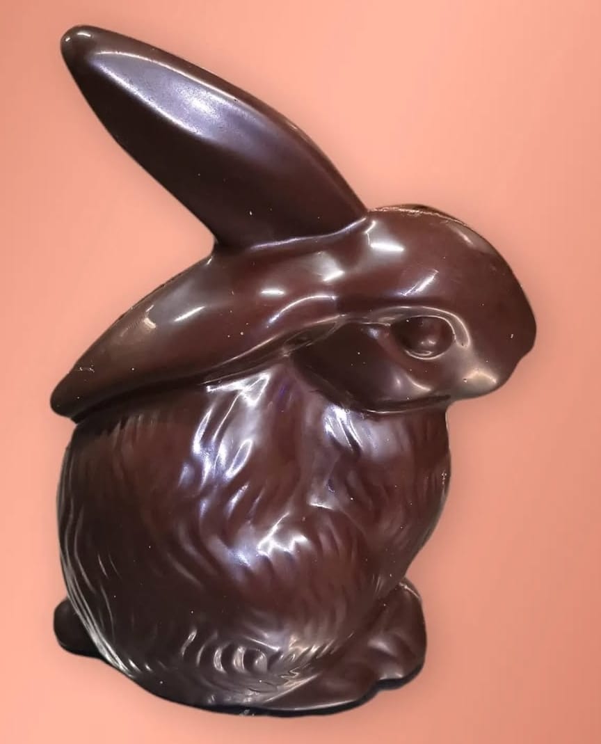 Coniglietto di cioccolato 