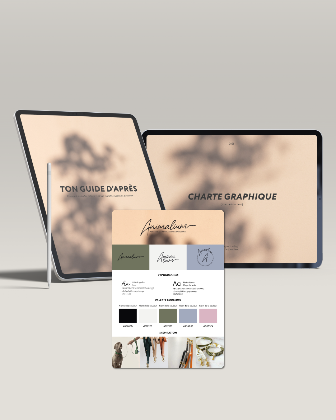 Les template pour graphistes