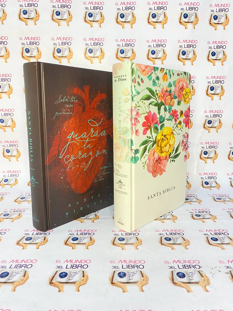 Santa Biblia - Reina Valera 