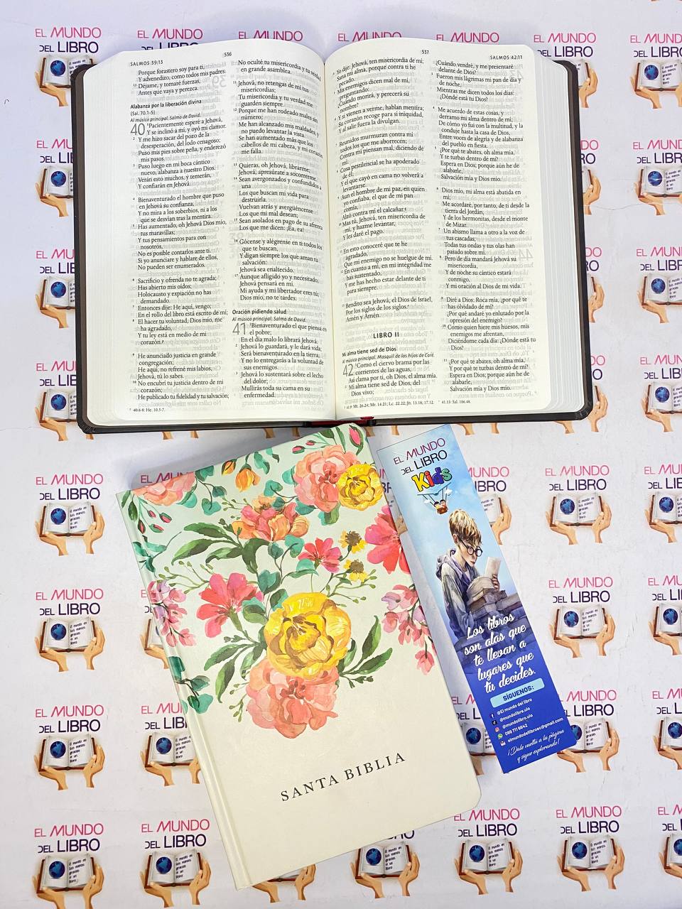 Santa Biblia - Reina Valera 