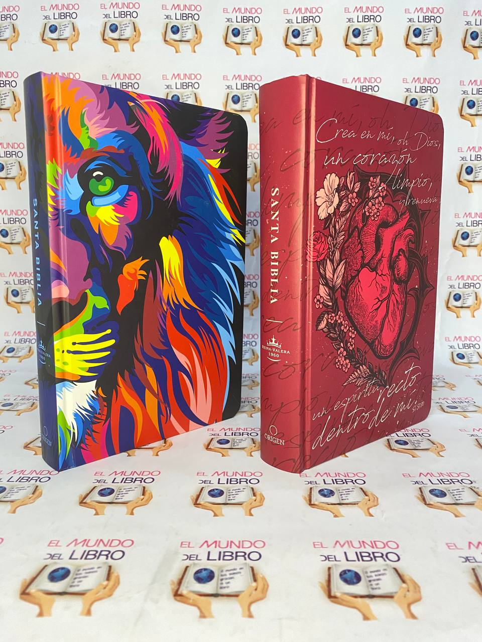 Santa Biblia - Reina Valera