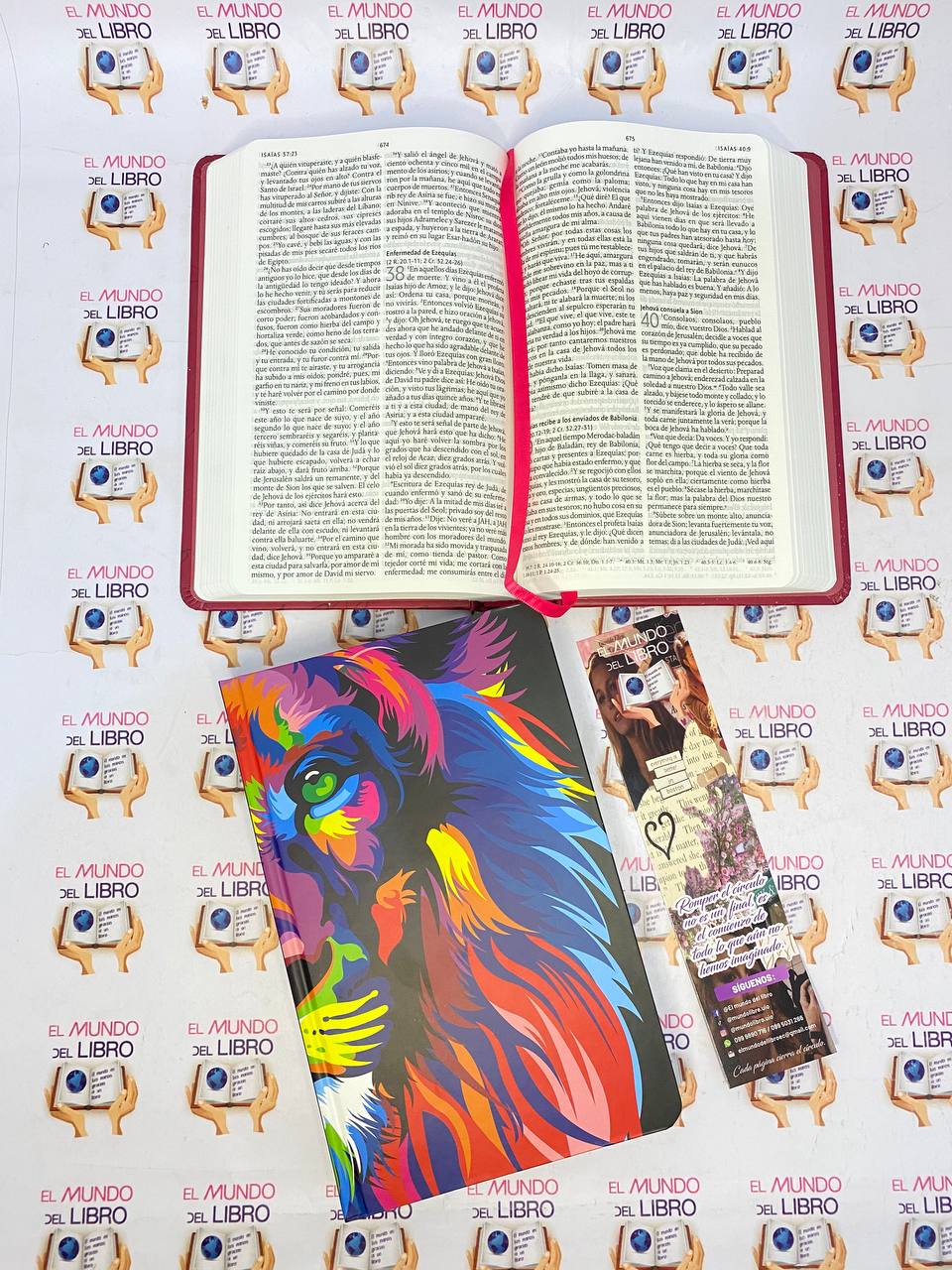 Santa Biblia - Reina Valera