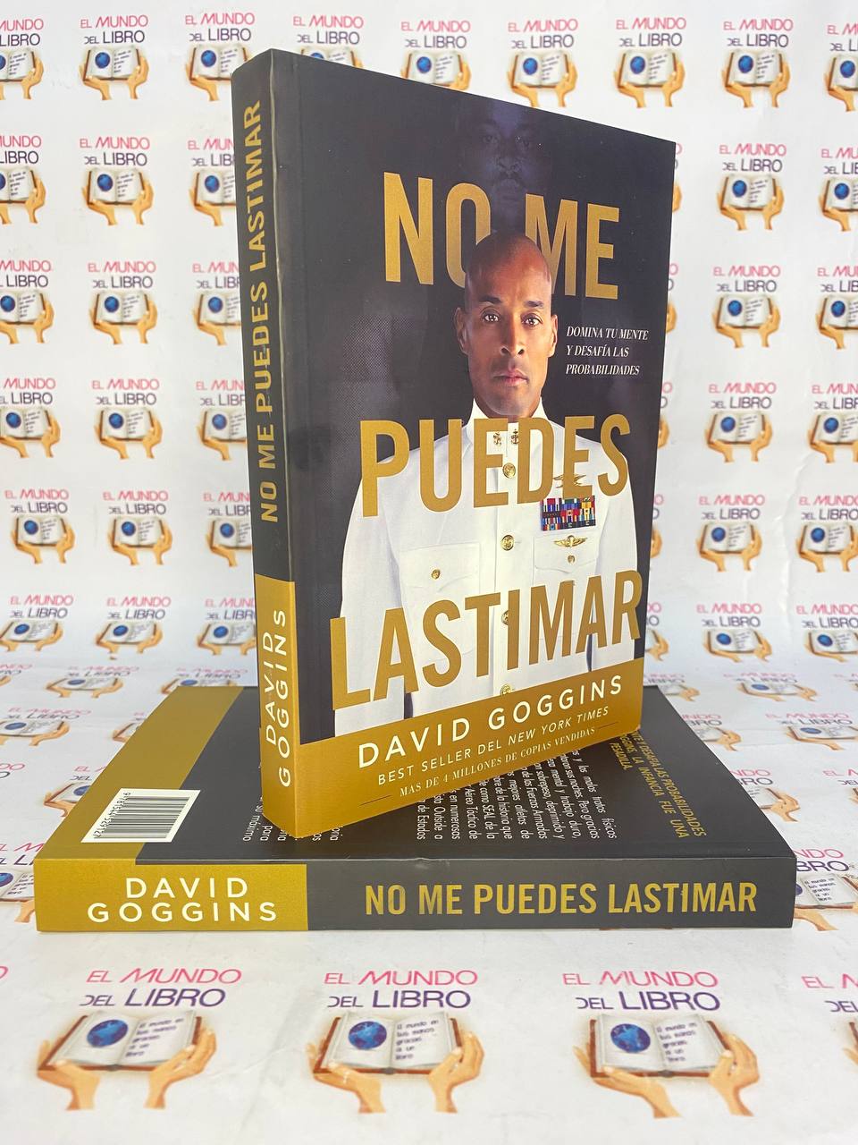 No Me Puedes Lastimar - David Googins